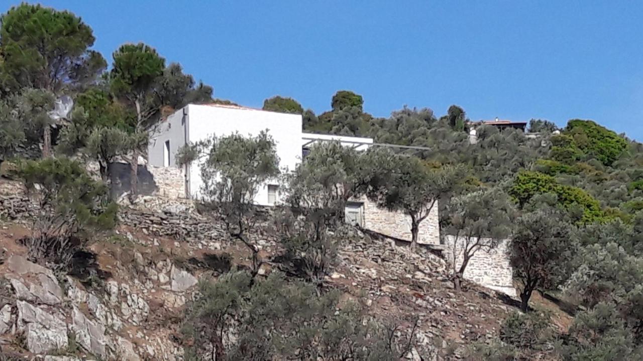 فيلا House Λ Moni Evaggelistrias المظهر الخارجي الصورة