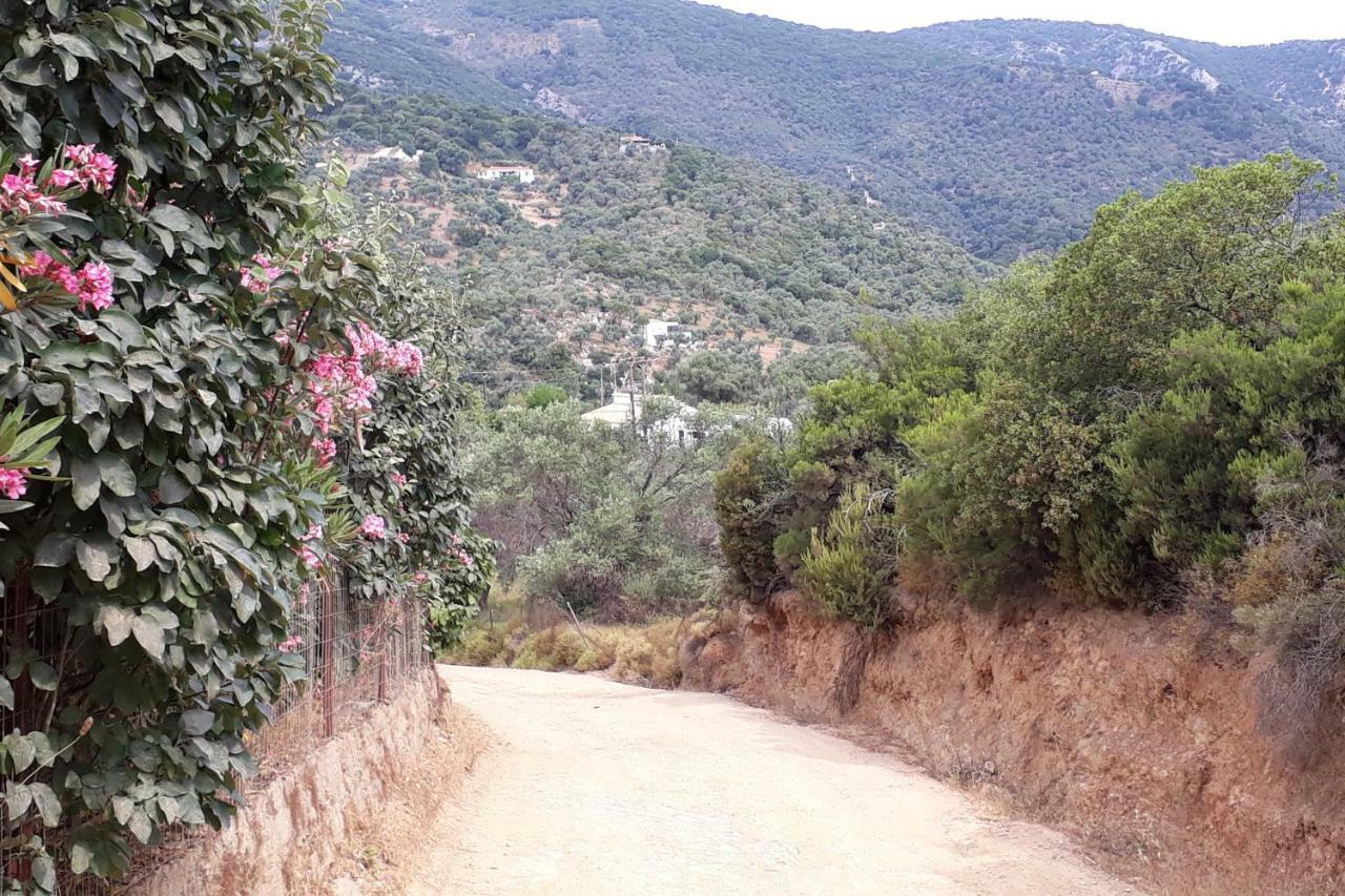 فيلا House Λ Moni Evaggelistrias المظهر الخارجي الصورة